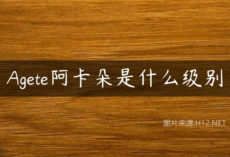 Agete阿卡朵是什么级别