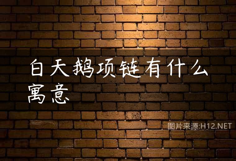 白天鹅项链有什么寓意