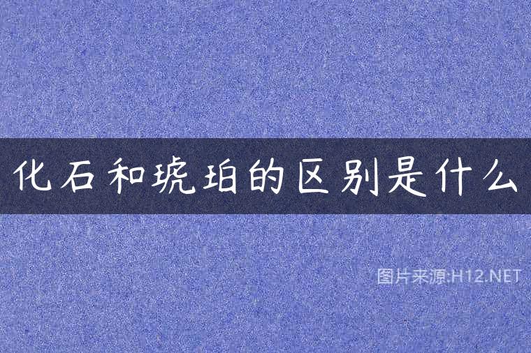 化石和琥珀的区别是什么