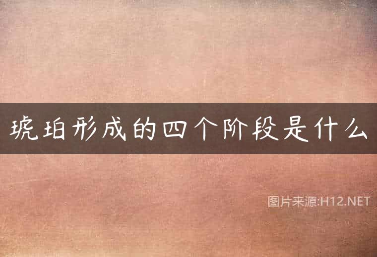 琥珀形成的四个阶段是什么