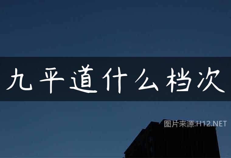 九平道什么档次