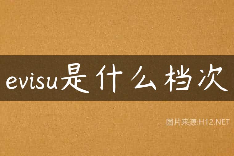 evisu是什么档次