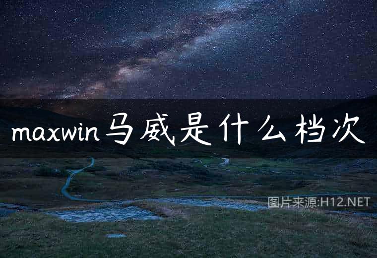 maxwin马威是什么档次