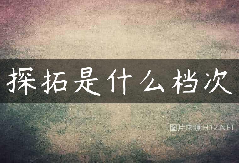 探拓是什么档次