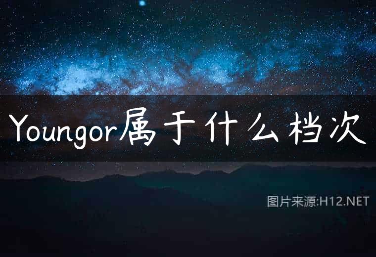 Youngor属于什么档次