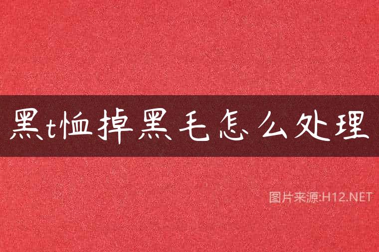 黑t恤掉黑毛怎么处理