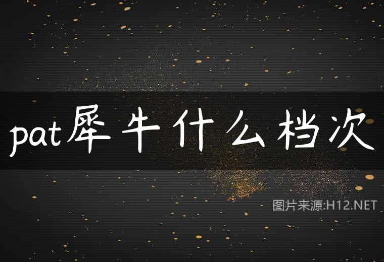 pat犀牛什么档次