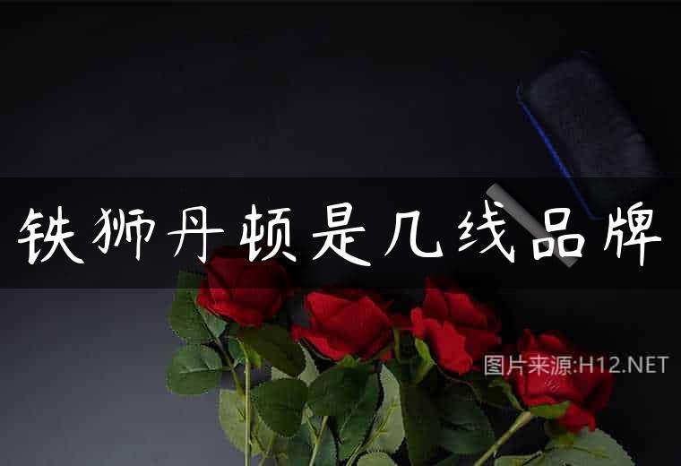 铁狮丹顿是几线品牌