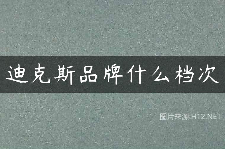 迪克斯品牌什么档次