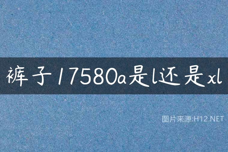 裤子17580a是l还是xl