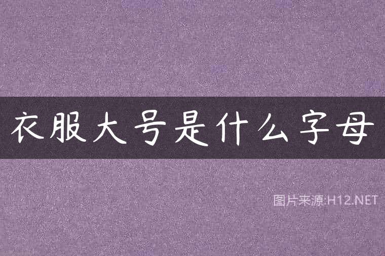 衣服大号是什么字母