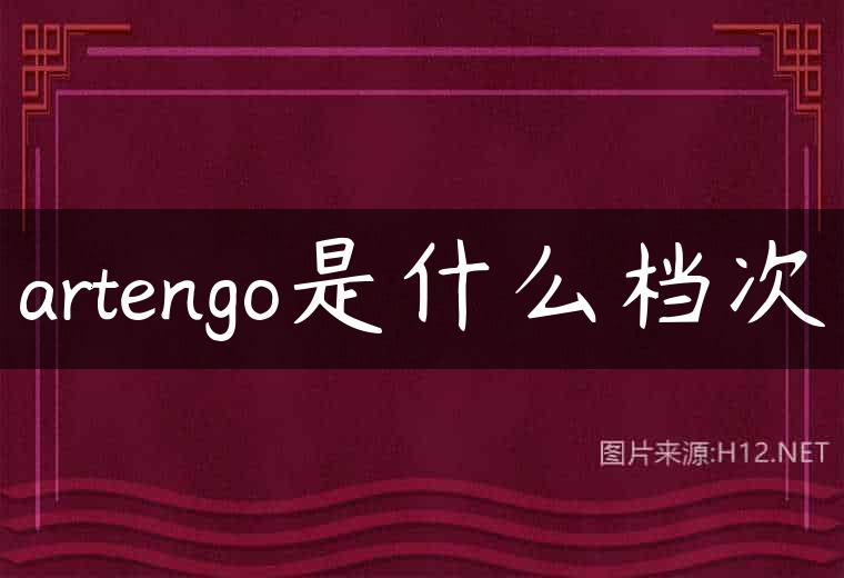 artengo是什么档次