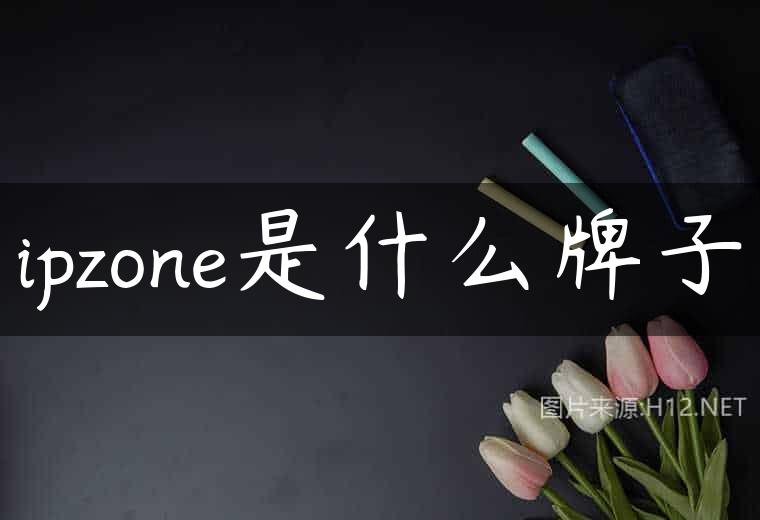 ipzone是什么牌子