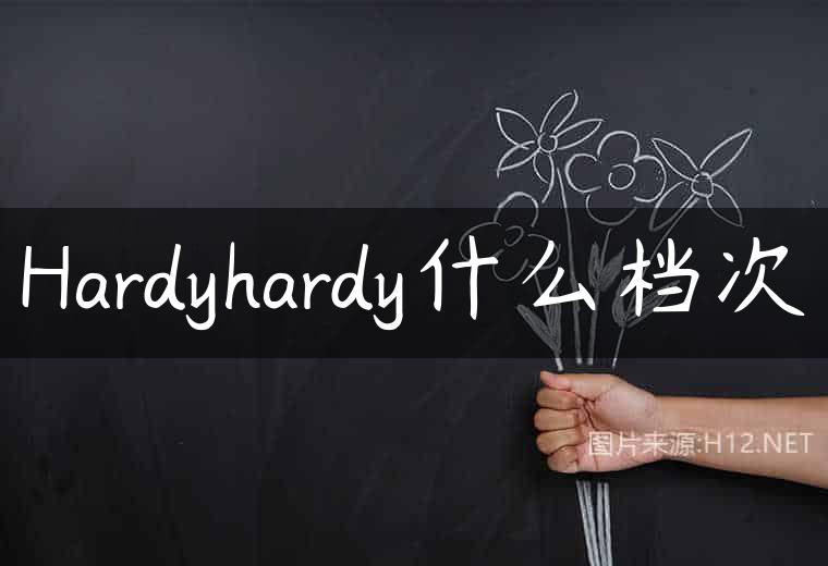 Hardyhardy什么档次