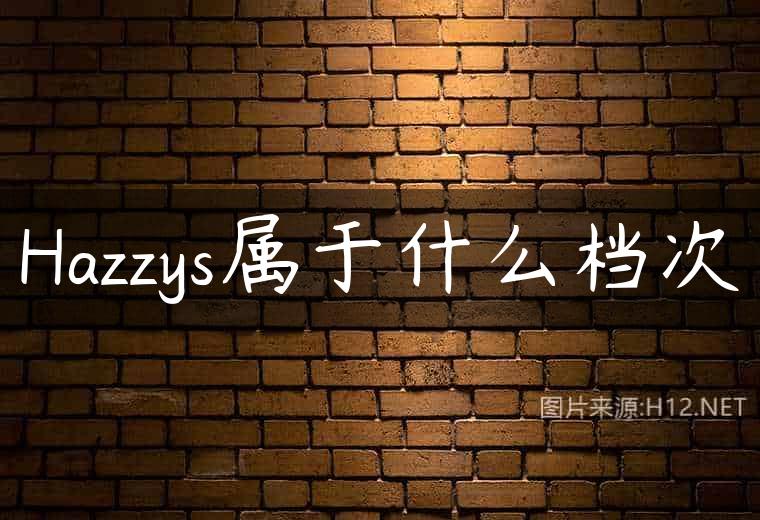 Hazzys属于什么档次