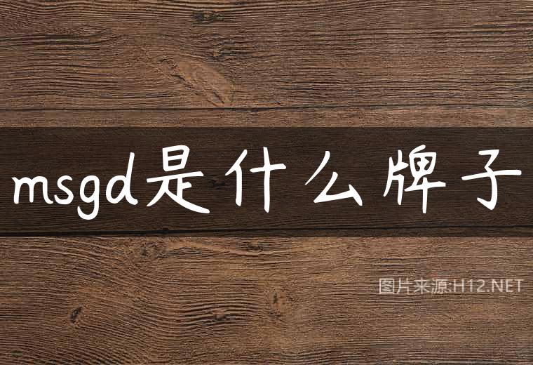 msgd是什么牌子