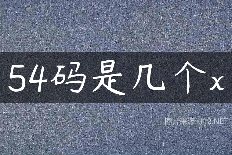 54码是几个x