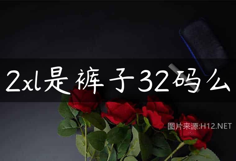 2xl是裤子32码么