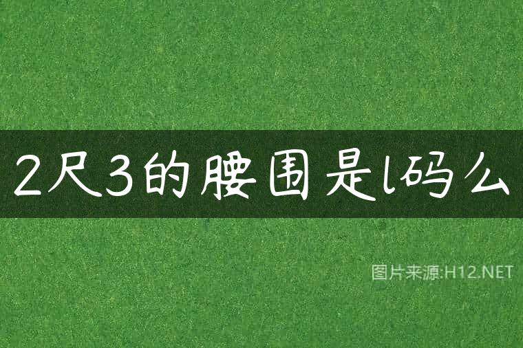 2尺3的腰围是l码么