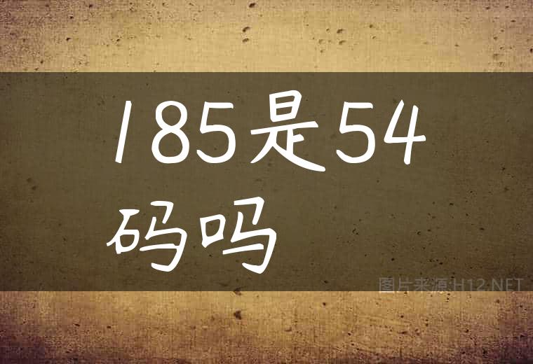185是54码吗