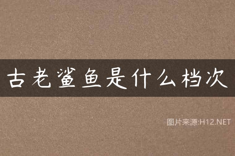 古老鲨鱼是什么档次