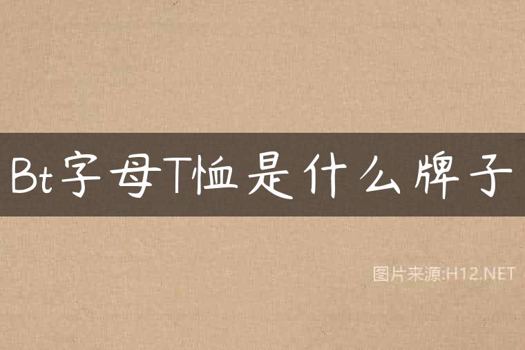 Bt字母T恤是什么牌子