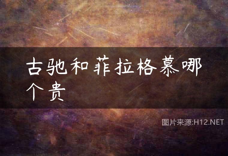 古驰和菲拉格慕哪个贵