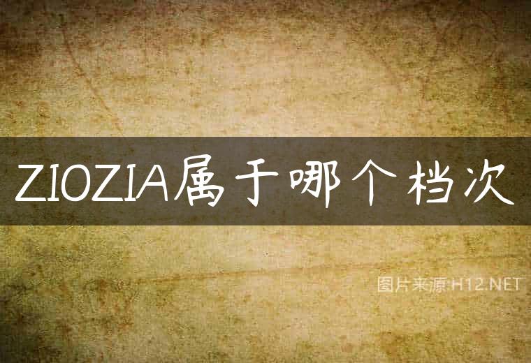 ZIOZIA属于哪个档次