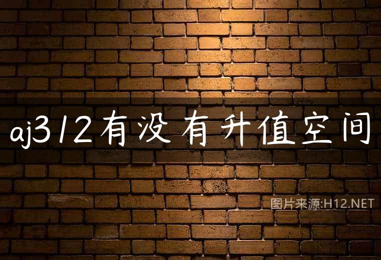 aj312有没有升值空间