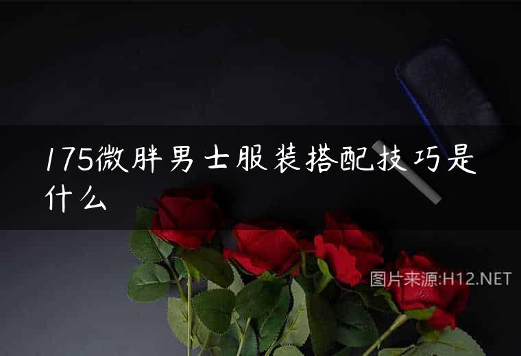 175微胖男士服装搭配技巧是什么