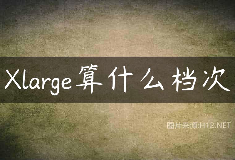 Xlarge算什么档次