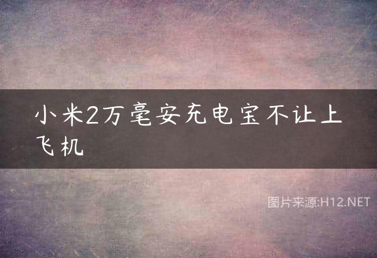 小米2万毫安充电宝不让上飞机