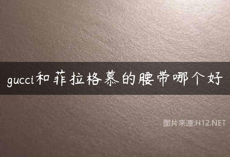 gucci和菲拉格慕的腰带哪个好