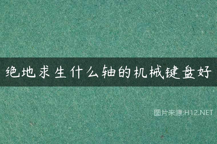 绝地求生什么轴的机械键盘好
