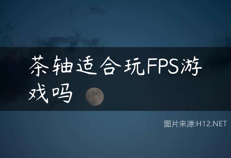 茶轴适合玩FPS游戏吗