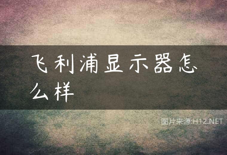 飞利浦显示器怎么样
