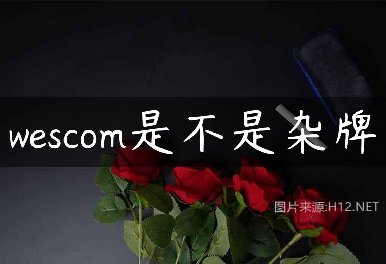 wescom是不是杂牌