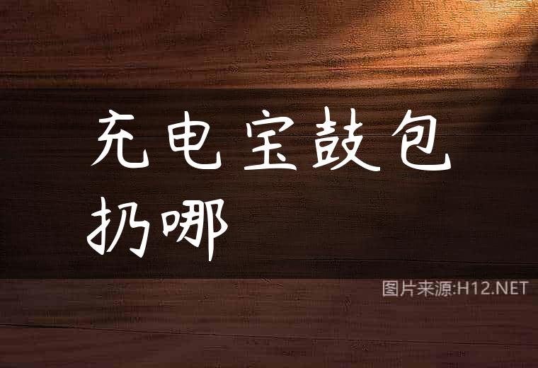 充电宝鼓包扔哪