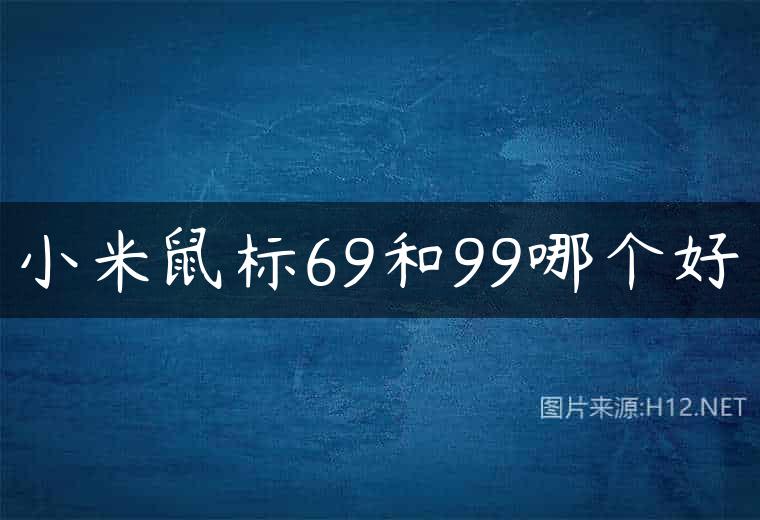 小米鼠标69和99哪个好