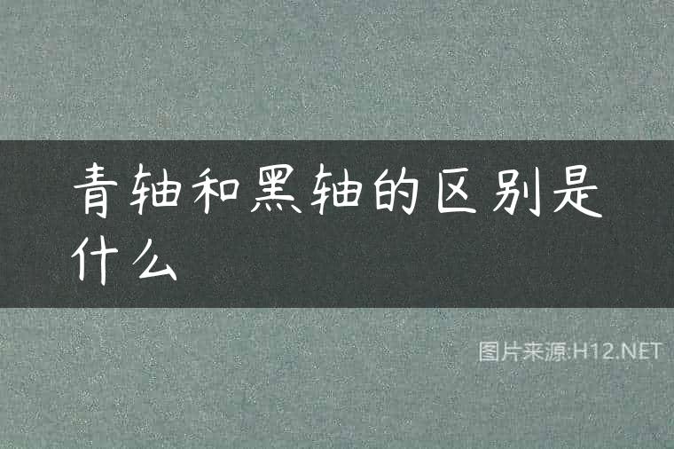 青轴和黑轴的区别是什么