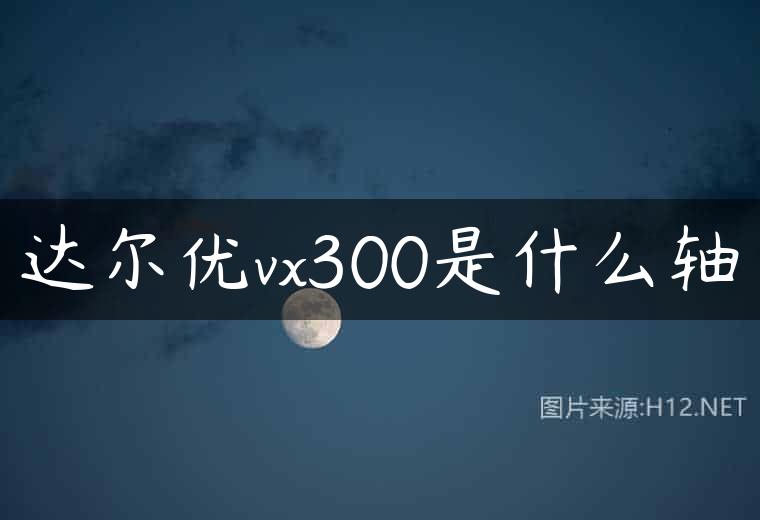 达尔优vx300是什么轴