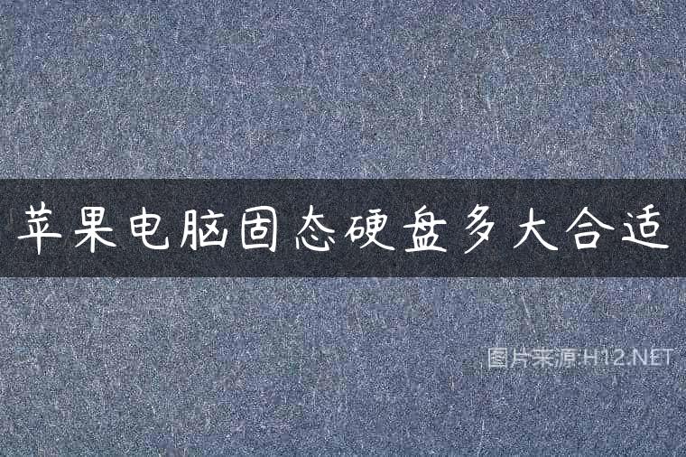 苹果电脑固态硬盘多大合适