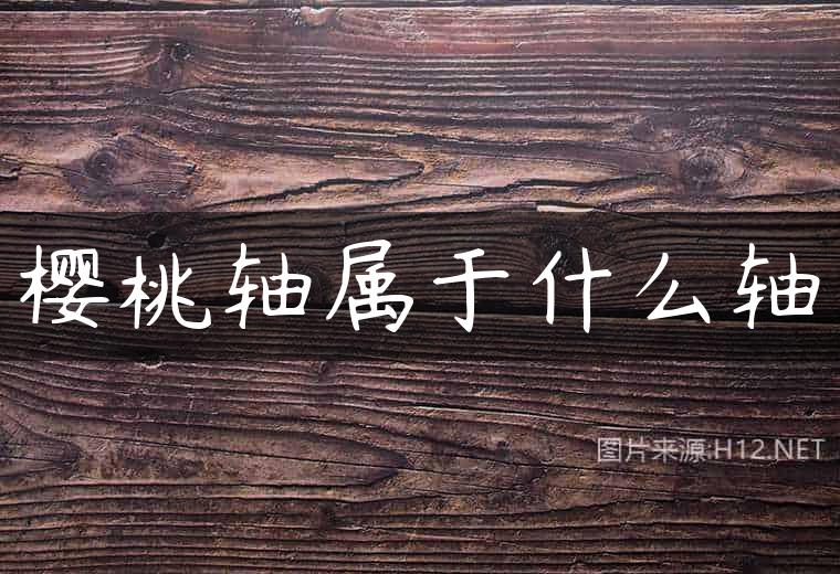 樱桃轴属于什么轴