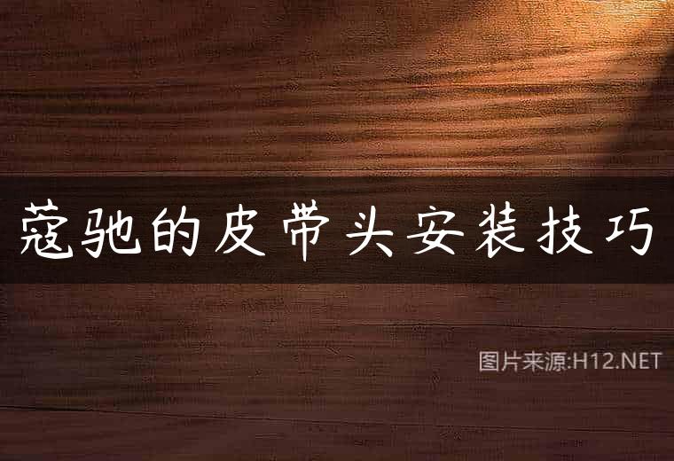 蔻驰的皮带头安装技巧