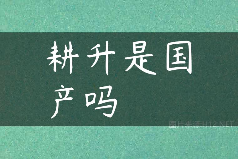 耕升是国产吗
