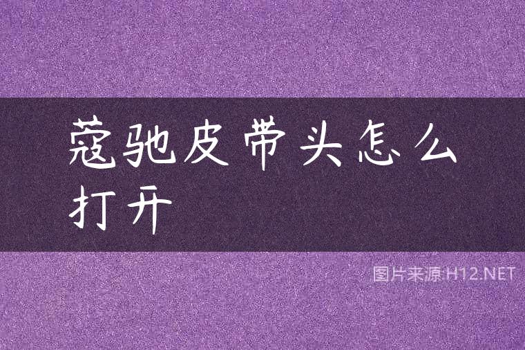 蔻驰皮带头怎么打开