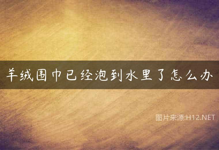 羊绒围巾已经泡到水里了怎么办