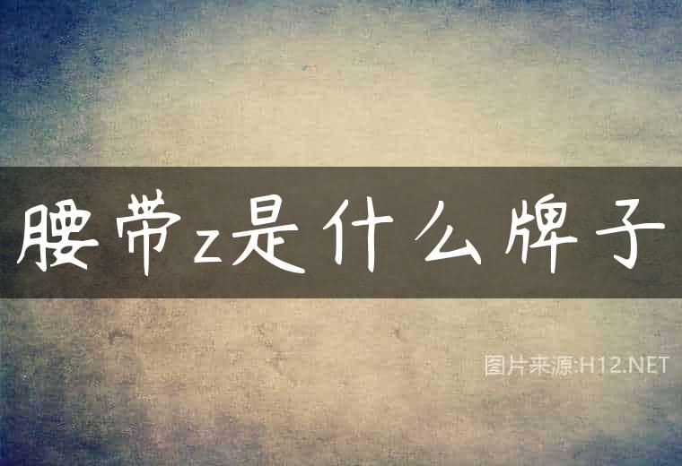 腰带z是什么牌子