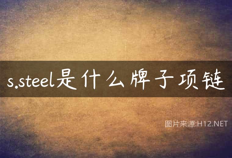 s.steel是什么牌子项链