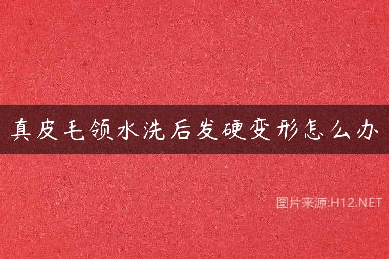 真皮毛领水洗后发硬变形怎么办